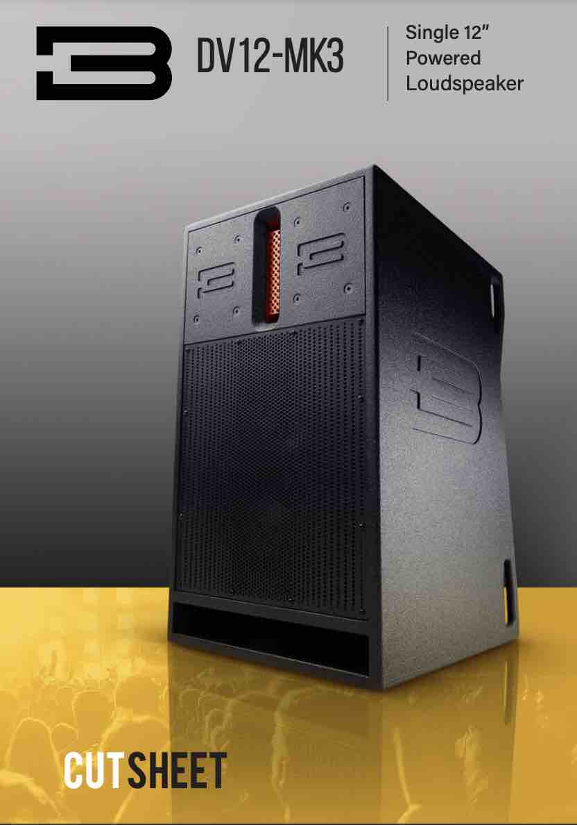 BASSBOSS DV12 MK3 Technical Sheet PDF