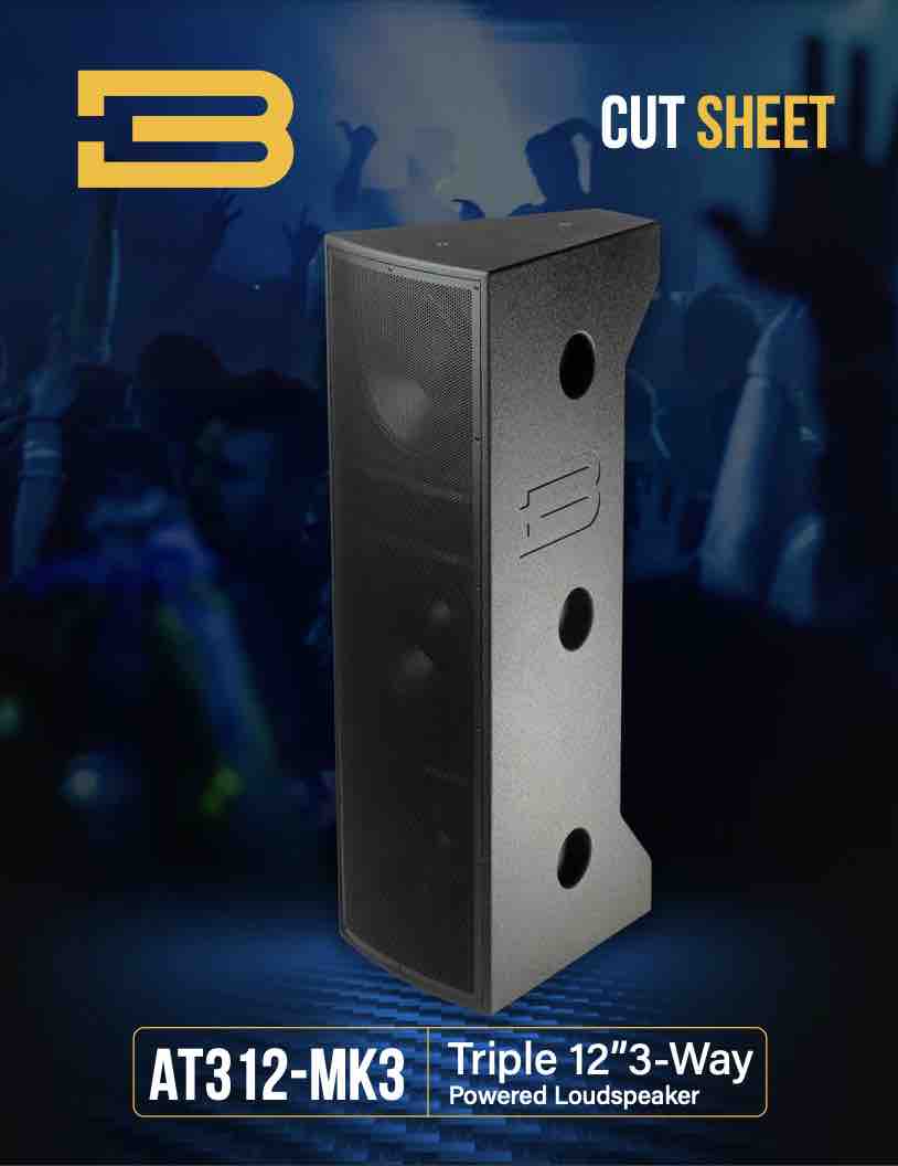 BASSBOSS AT312 MK3 Technical Sheet PDF